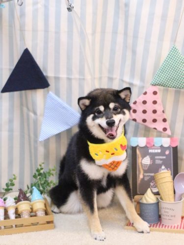 20250511むさしくん